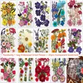 Fleurs séchées et feuilles pressées pour marque-pages et résine – 1