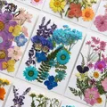 Fleurs séchées et feuilles pressées pour marque-pages et résine – 2