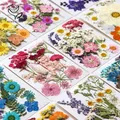 Fleurs séchées et feuilles pressées pour marque-pages et résine – 3