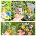 Fleurs séchées et feuilles pressées pour marque-pages et résine – 4