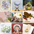 Fleurs séchées et feuilles pressées pour marque-pages et résine – 6