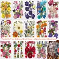Fleurs séchées et feuilles pressées pour marque-pages et résine – Couleur Randomly shipping