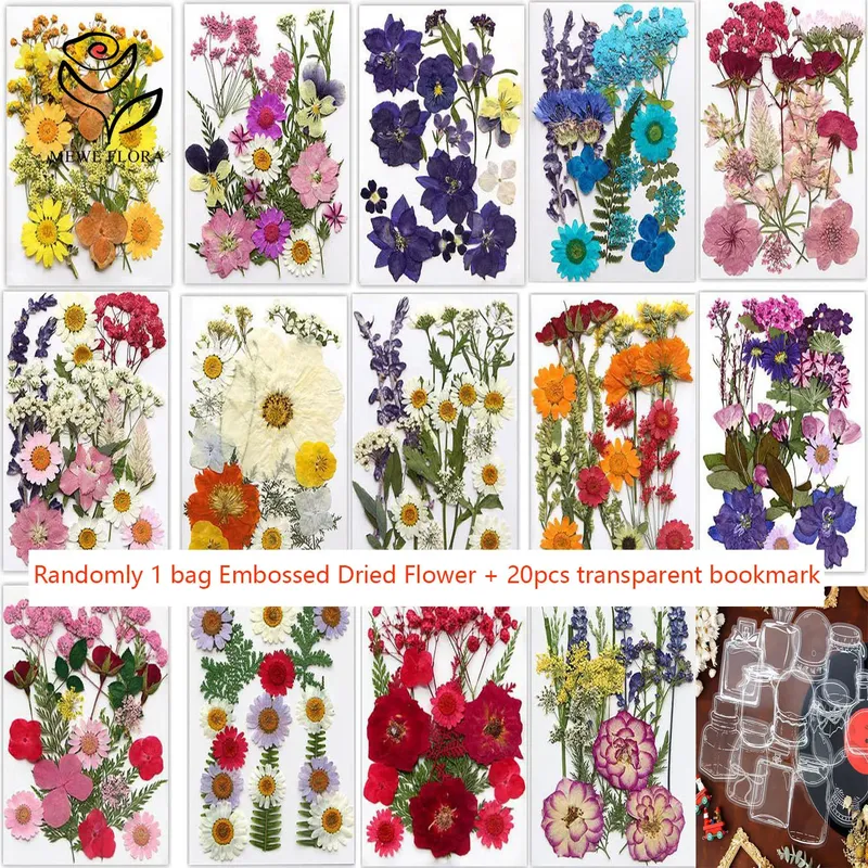 Fleurs séchées et feuilles pressées pour marque-pages et résine