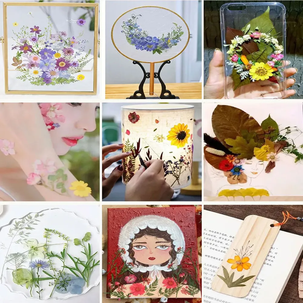 Fleurs séchées et feuilles pressées pour marque-pages et résine