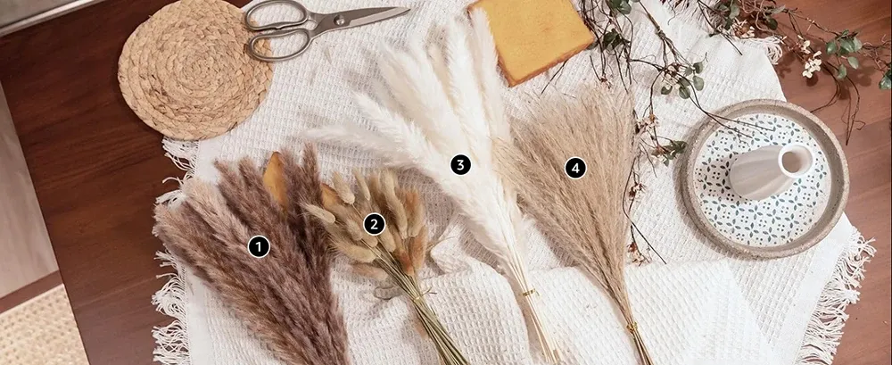 Fleurs séchées et feuilles pressées pour marque-pages et résine