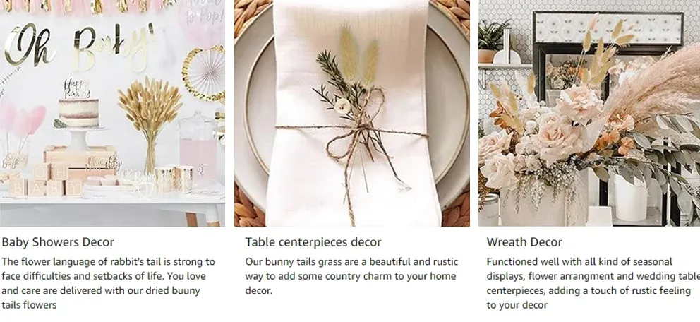 Fleurs séchées et feuilles pressées pour marque-pages et résine
