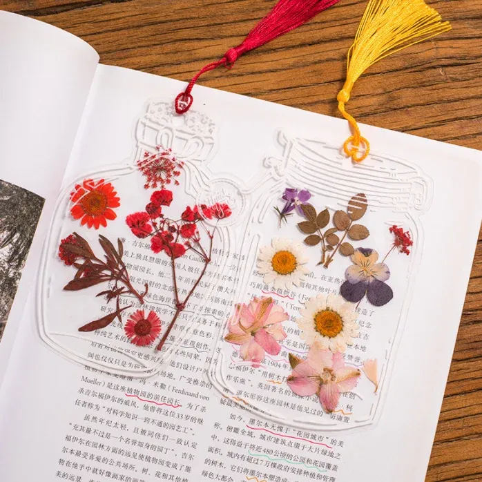 Fleurs séchées et feuilles pressées pour marque-pages et résine
