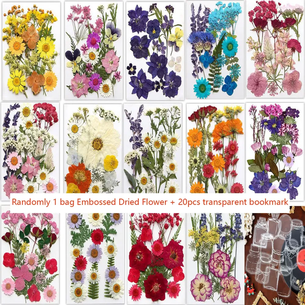 Fleurs séchées et feuilles pressées pour marque-pages et résine