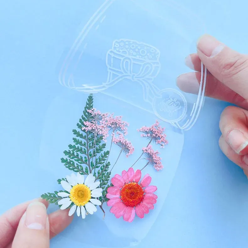 Fleurs séchées et feuilles pressées pour marque-pages et résine
