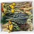 Fleurs séchées naturelles miniatures pour loisirs créatifs – 1