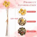 Fleurs séchées naturelles miniatures pour loisirs créatifs – 4