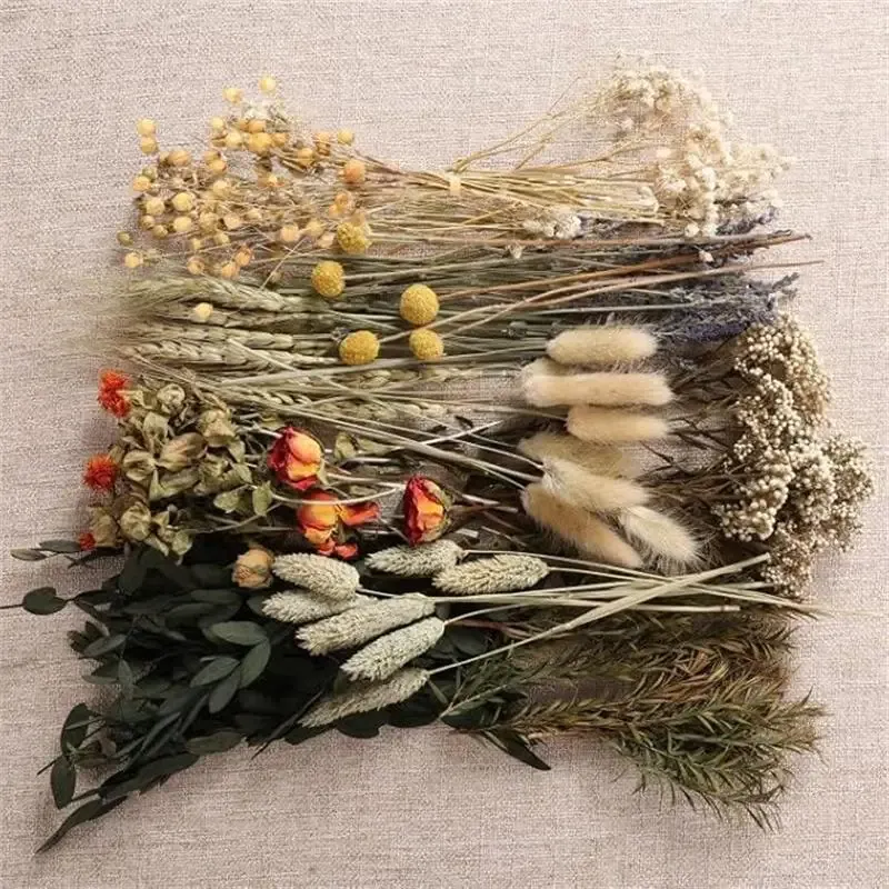Fleurs séchées naturelles miniatures pour loisirs créatifs