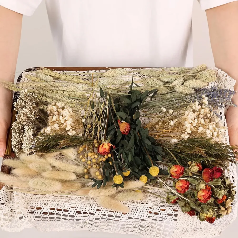 Fleurs séchées naturelles miniatures pour loisirs créatifs