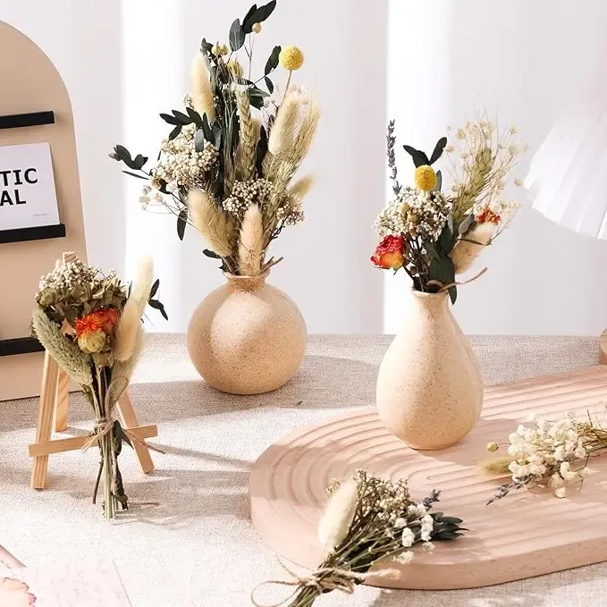 Fleurs séchées naturelles miniatures pour loisirs créatifs