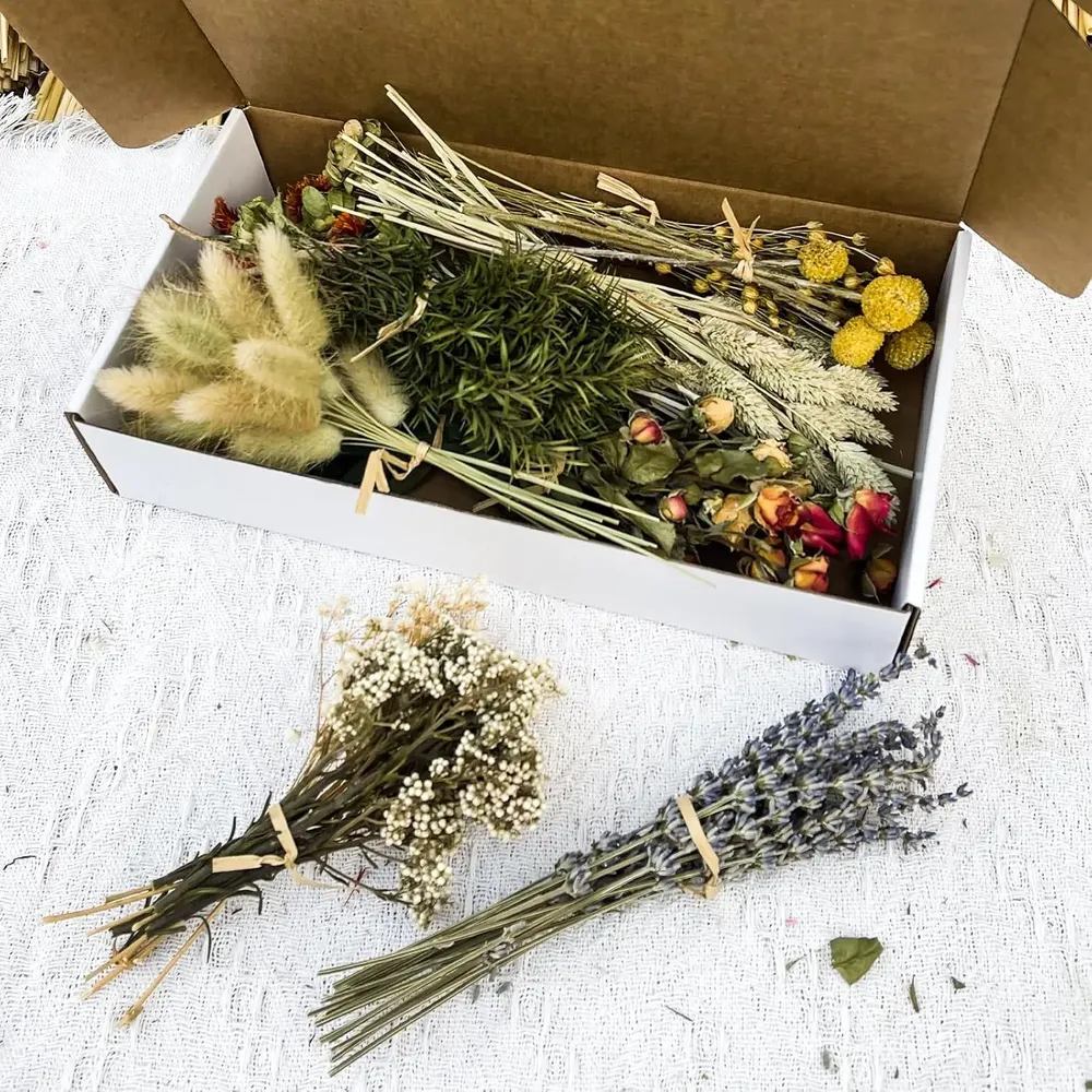 Fleurs séchées naturelles miniatures pour loisirs créatifs