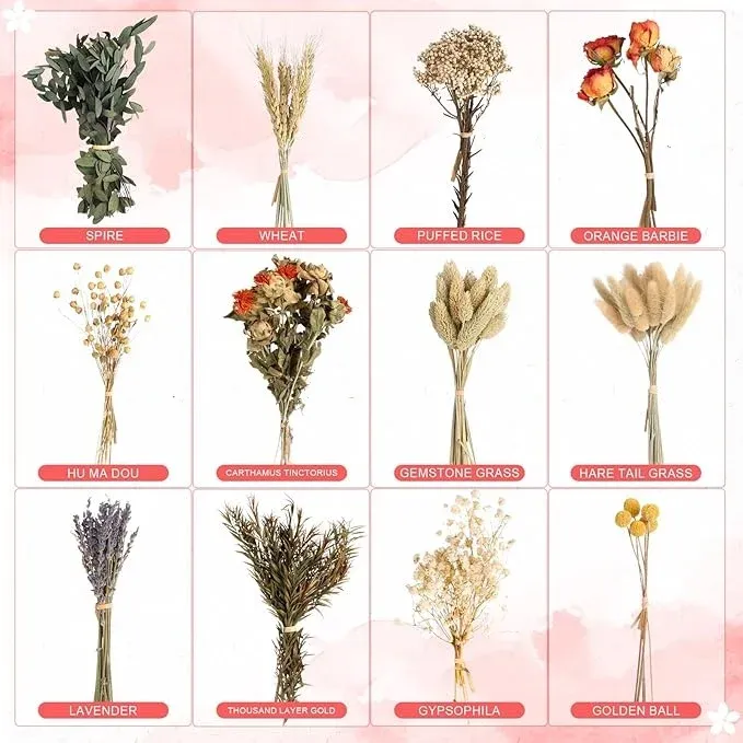Fleurs séchées naturelles miniatures pour loisirs créatifs
