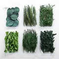 Fleurs séchées naturelles pour résine et bougies – 1