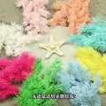 Fleurs séchées naturelles pour résine et bougies – 3