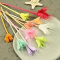 Fleurs séchées naturelles pour résine et bougies – 4