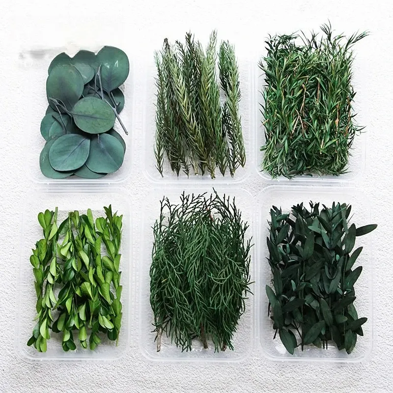 Fleurs séchées naturelles pour résine et bougies