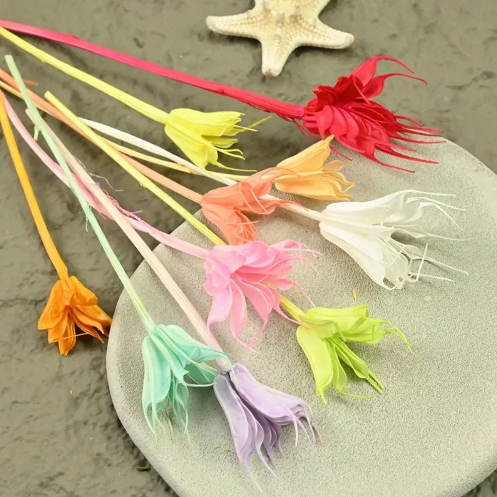 Fleurs séchées naturelles pour résine et bougies