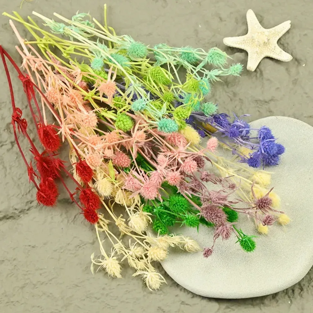 Fleurs séchées naturelles pour résine et bougies
