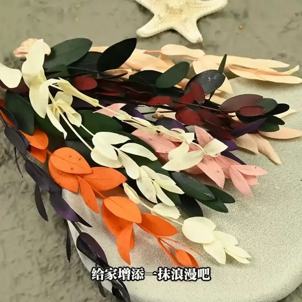 Fleurs séchées naturelles pour résine et bougies