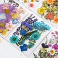 Fleurs séchées naturelles pressées pour résine et bijoux – 1