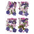 Fleurs séchées naturelles pressées pour résine et bijoux – 2