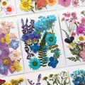 Fleurs séchées naturelles pressées pour résine et bijoux – 4