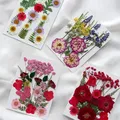 Fleurs séchées naturelles pressées pour résine et bijoux – 5