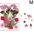 Fleurs séchées naturelles pressées pour résine et bijoux – Couleur BLANC (M)