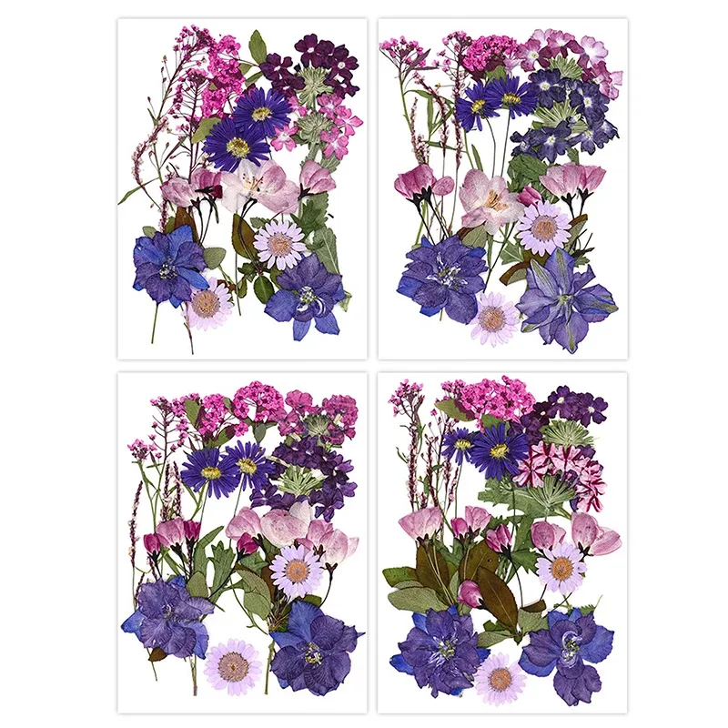Fleurs séchées naturelles pressées pour résine et bijoux