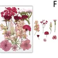 Fleurs séchées naturelles pressées pour résine et bijoux – Couleur GRIS (F)