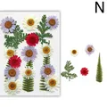 Fleurs séchées naturelles pressées pour résine et bijoux – Couleur Jaune (N)