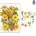 Fleurs séchées naturelles pressées pour résine et bijoux – Couleur noir (B)
