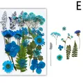 Fleurs séchées naturelles pressées pour résine et bijoux – Couleur Or (E)