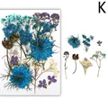 Fleurs séchées naturelles pressées pour résine et bijoux – Couleur Rouge (K)