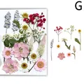 Fleurs séchées naturelles pressées pour résine et bijoux – Couleur vert (g)