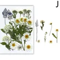 Fleurs séchées naturelles pressées pour résine et bijoux – Couleur Violet (J)