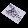 Fleurs séchées pressées multicolores pour résine et scrapbooking – 1