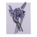 Fleurs séchées pressées multicolores pour résine et scrapbooking – 5