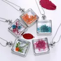 Fleurs séchées pressées multicolores pour résine et scrapbooking – 6