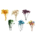 Fleurs séchées pressées naturelles pour bijoux et résine – 4
