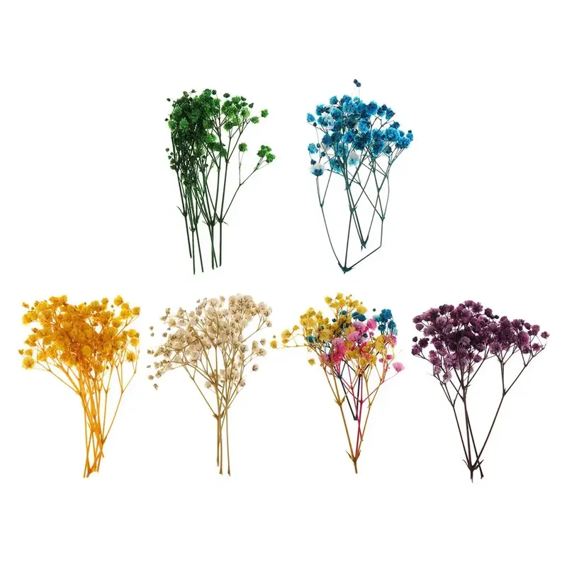 Fleurs séchées pressées naturelles pour bijoux et résine