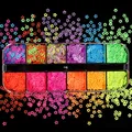 Flocons paillettes mixtes pour résine 12 grilles – Couleur Style 11