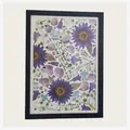 Grandes fleurs de nénuphar séchées pressées 8 à 15 cm – 5