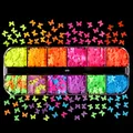 Kit 12 compartiments paillettes lettres pour résine – Couleur 5MM Butterfly