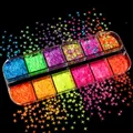 Kit 12 compartiments paillettes lettres pour résine – Couleur Four-pointed Star
