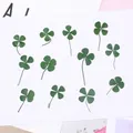 Kit de 12 fleurs séchées pressées 1,5 à 3 cm – 3